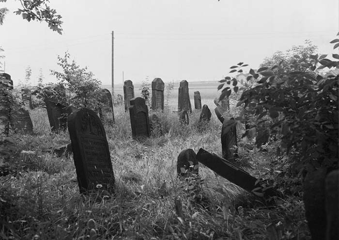 Jewish cemetery in Czeladz in 1973, photo Zofia Rydet; CC BY-NC-ND 3.0 PL