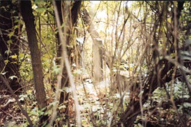 Jewish cemetery in Czeladz before renovation