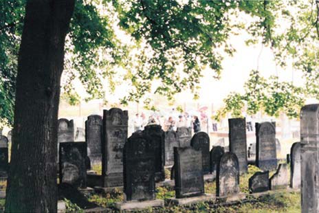 Jewish cemetery in Czeladz after renovation